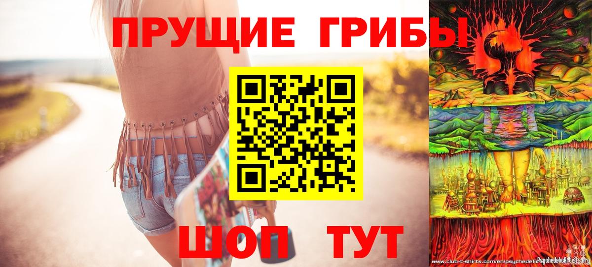 Галлюциногенные грибы Psilocybe Фурманов